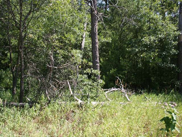 1st image of 4906 N Clare Ave