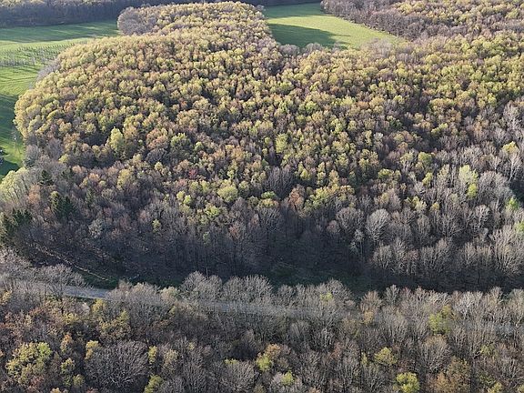 2nd image of 0 Pigeon Hill Rd