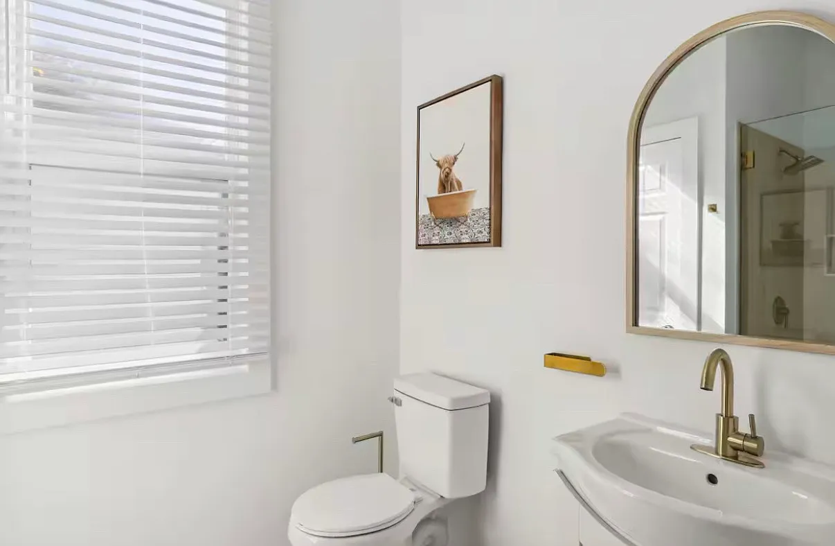 1 bed, 800 sqft, $2,700 — Photo 4