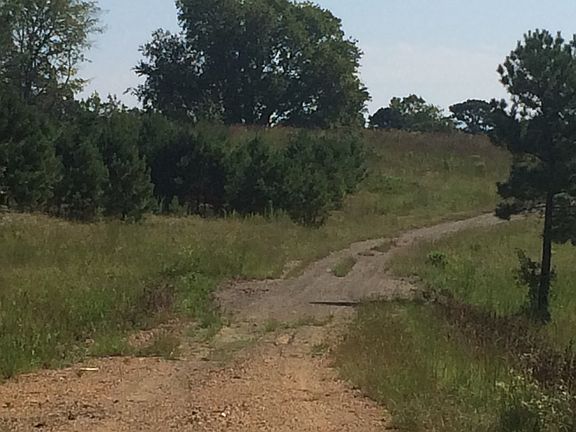 3rd image of 95 Acres Hwy #7