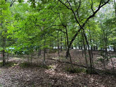 County Road 276 #16, Lakeview, AR, 72642