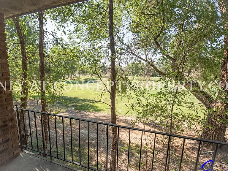 Ponderosa — Photo 16