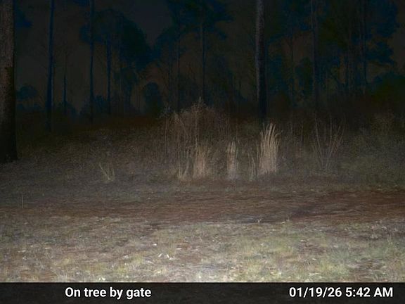 5th image of 0 Banks St
