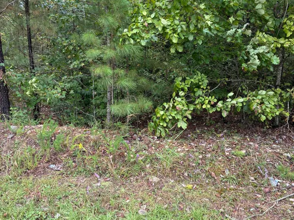 0 Gordon Moore Rd, Franklinton, NC 27525