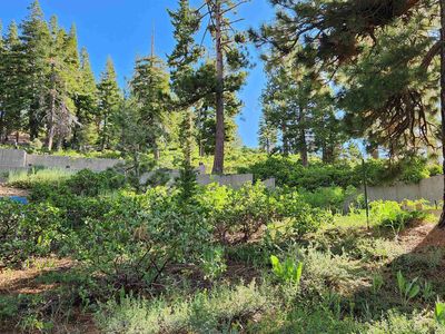 1492 Davos Ct, Alpine Meadows, CA, 96146