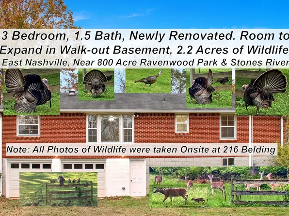 216 Belding Dr, Nashville, TN 37214