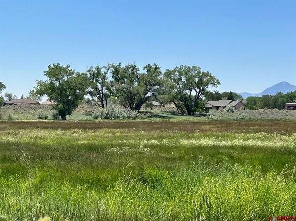 TBD Road 29, Cortez, CO 81321