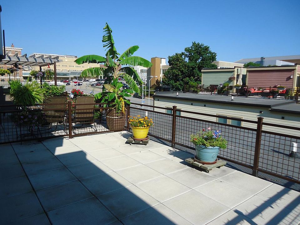 Patio View 1