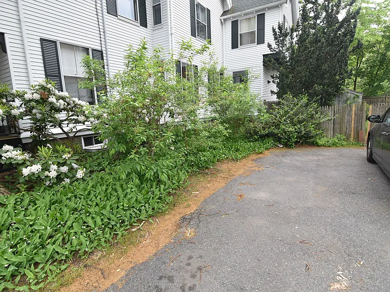 27 Cypress St — Photo 15