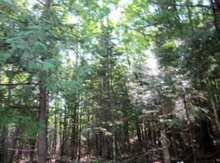 Viking Club Trl, Frederic, MI 49733