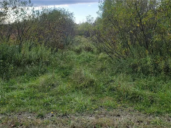 0 Blockville Watts Flats Rd, Ashville, NY 14710