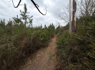 Bff Ii 4 J C Barefoot Rd, Patrick, SC 29584