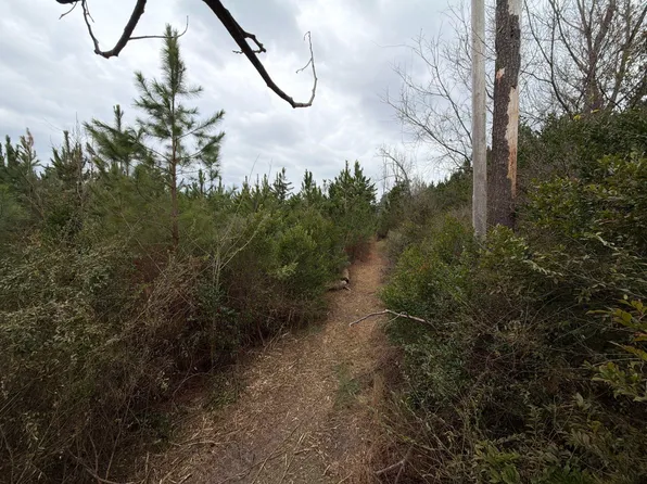 Bff Ii 4 J C Barefoot Rd, Patrick, SC 29584