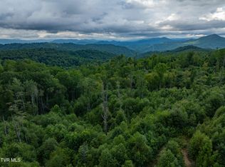 Walnut Mountain Rd, Roan Mountain, TN 37687