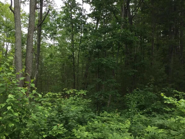 PARCEL Dodge Lake Rd #K, Gaylord, MI 49735