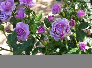 (Undisclosed Address), Los Gatos, CA 95030
