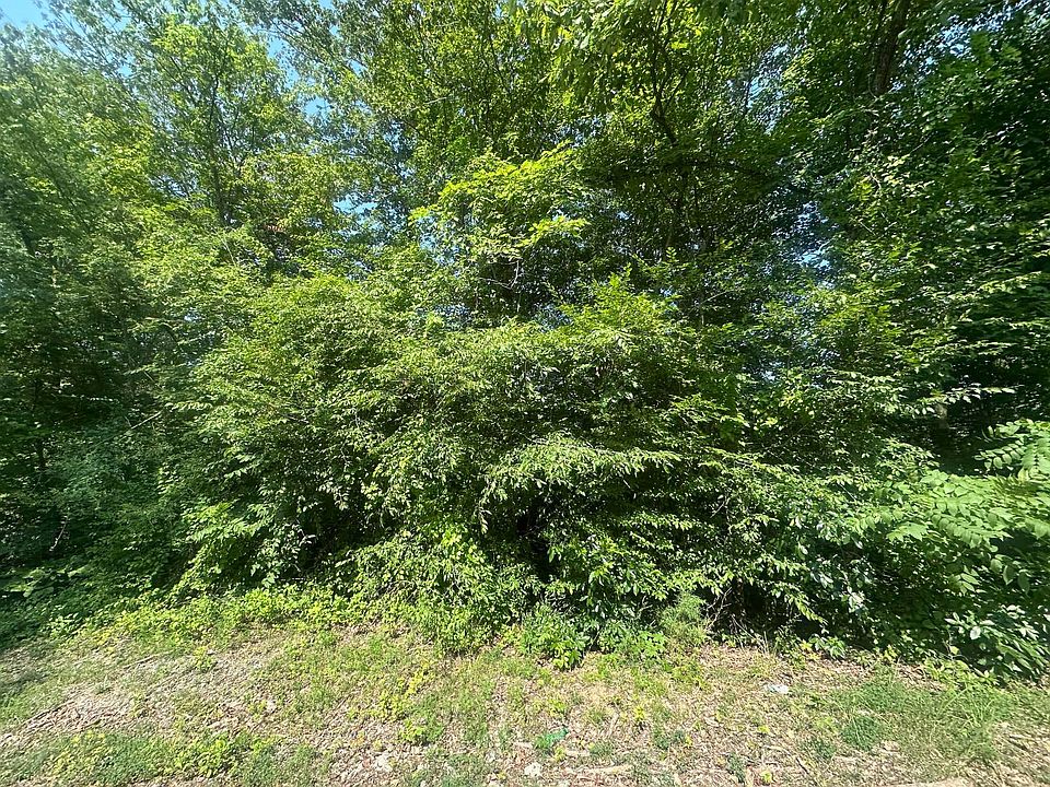 2nd image of 49 Rock Springs Rd