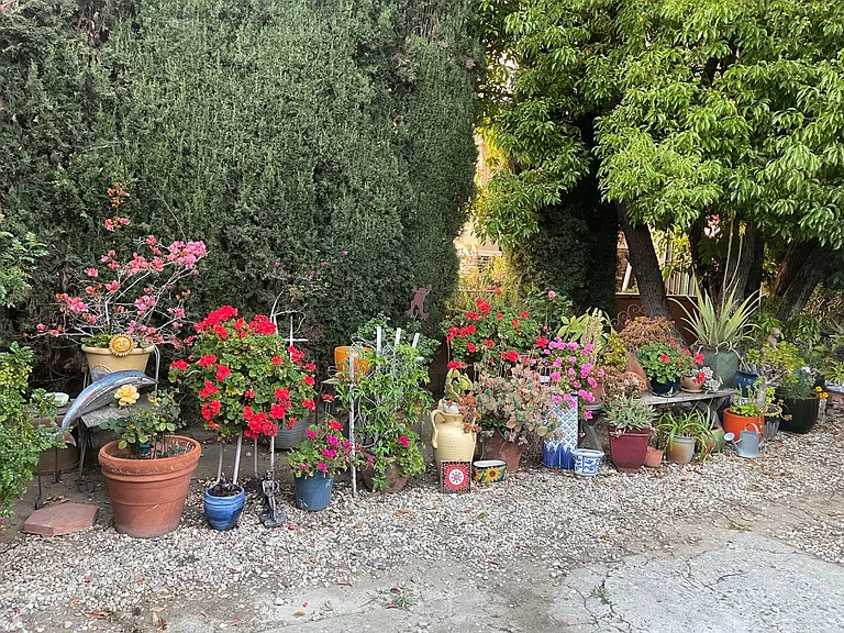 Beautiful flower garden on the property
