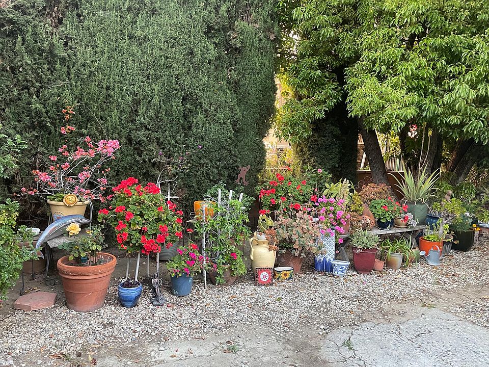 Beautiful flower garden on the property