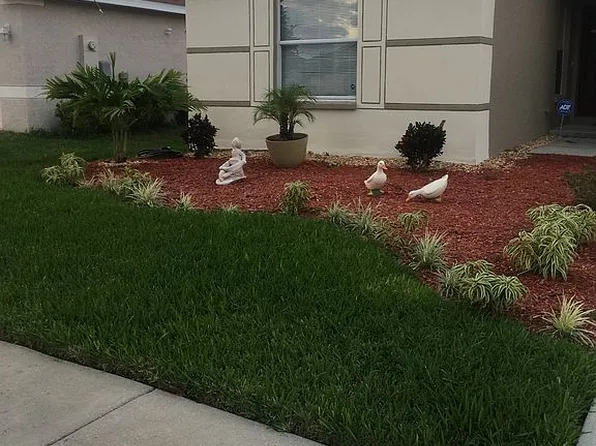 11518 Mountain Bay Dr, Riverview, FL 33569