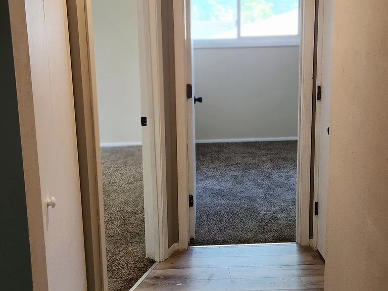 9280 Forestview Ln — Photo 10