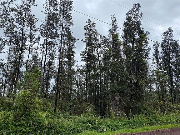 2nd image of Plumeria Dr Lot 29