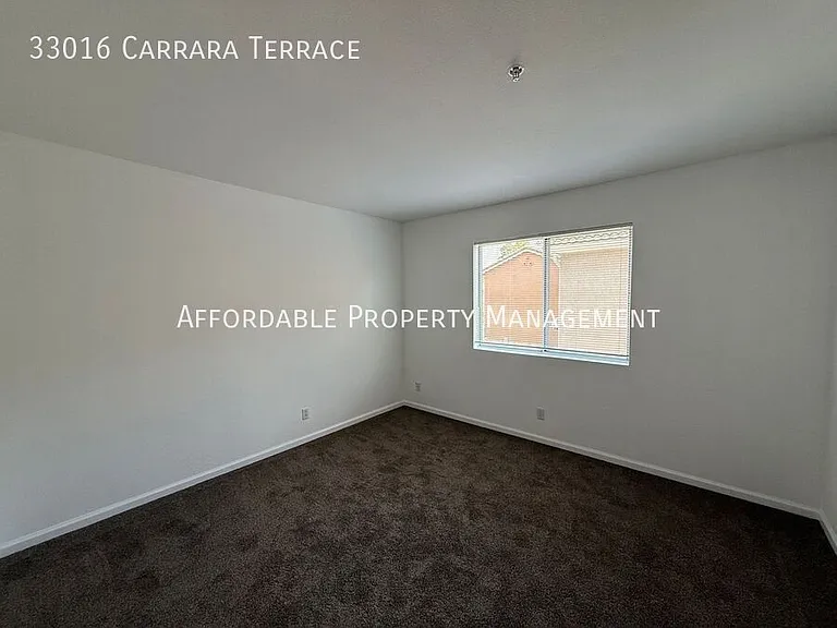33016 Carrara Ter — Photo 19