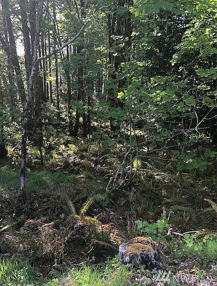 2nd image of 1030 Summit Lake Shore Rd NW