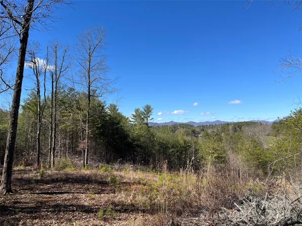 99999 Elkins Branch Rd, Weaverville, NC 28787