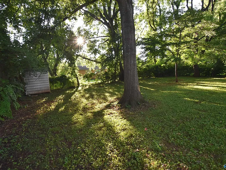 411 Ewing Dr — Photo 6