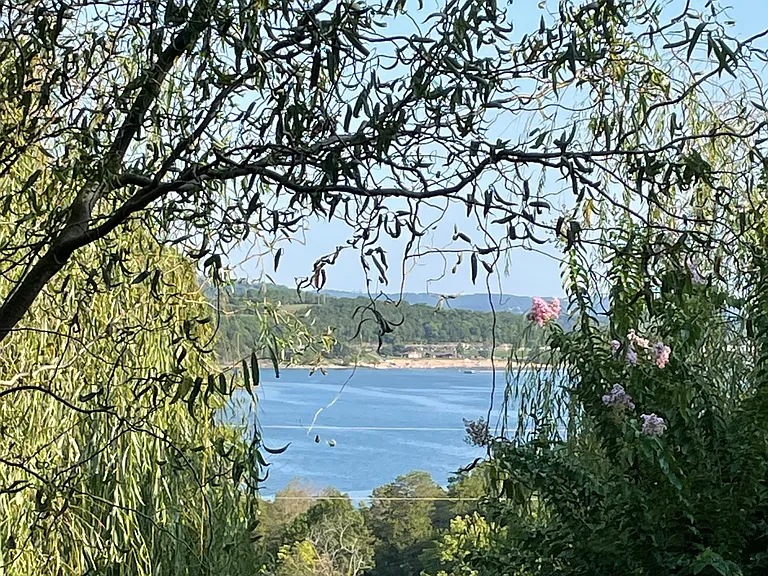 View from great room to lake