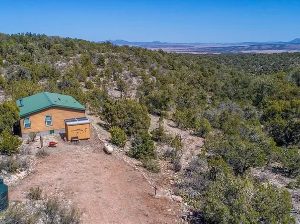 31900 W Bad Dog Rd, Seligman, AZ 86337