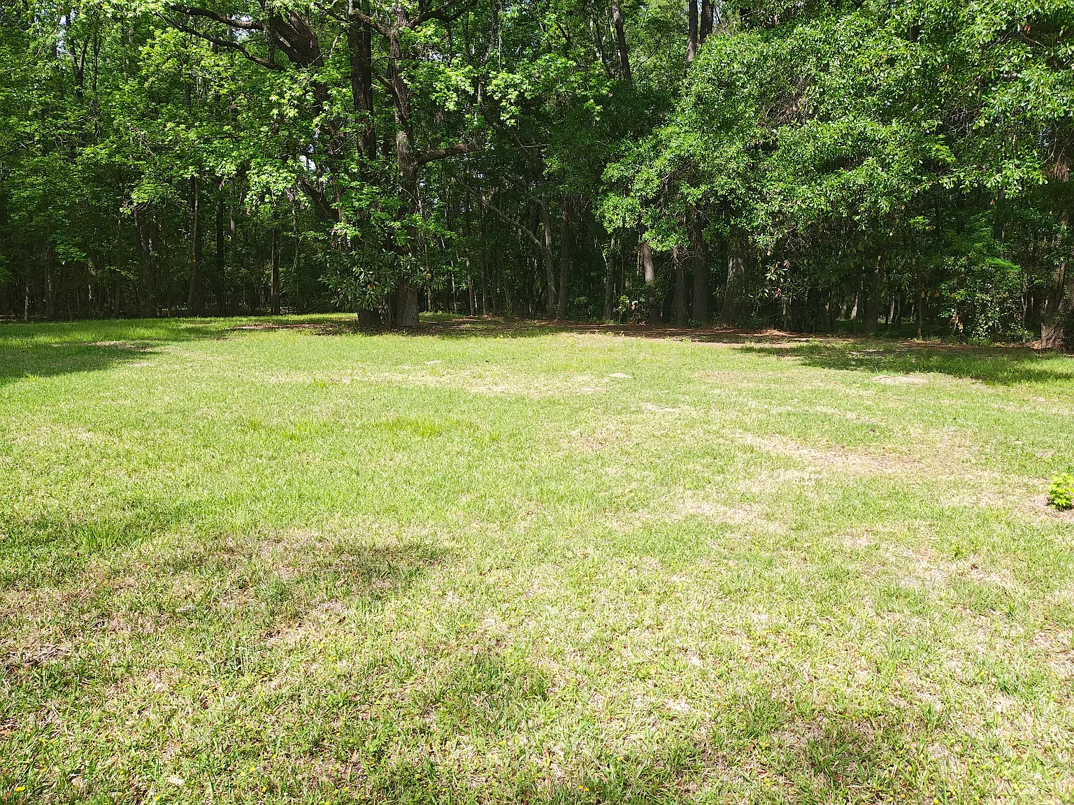 3 bed, 1100 sqft, $2,000 — Photo 4