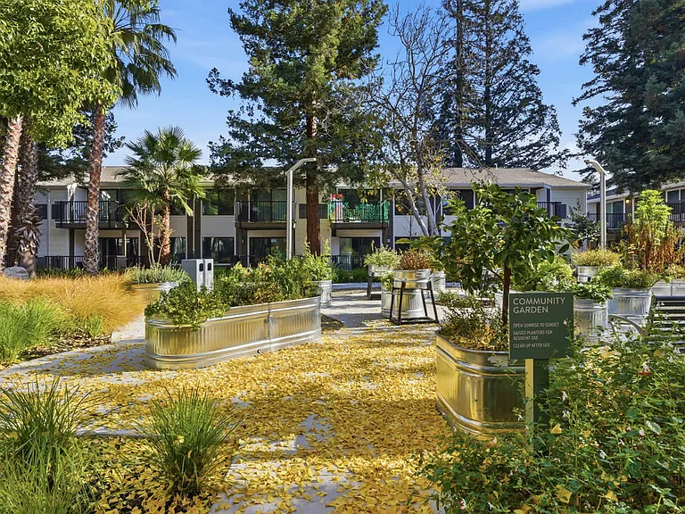Courtyard Area