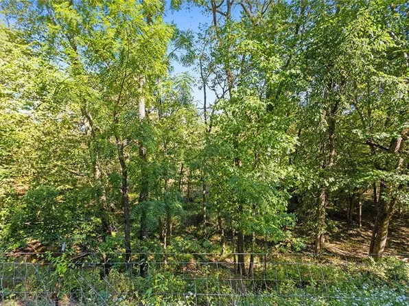 TRACT Cline Rd #C, Lone Jack, MO 64070