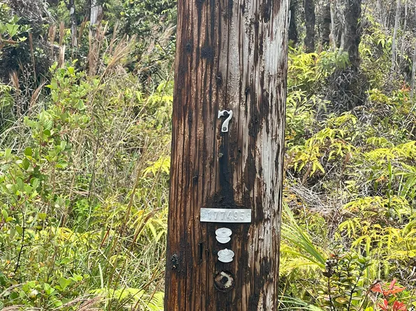 11-2859 NOE KUAHIWI RD, Volcano, HI 96785