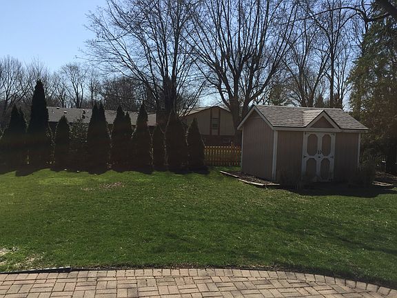 Back yard 3