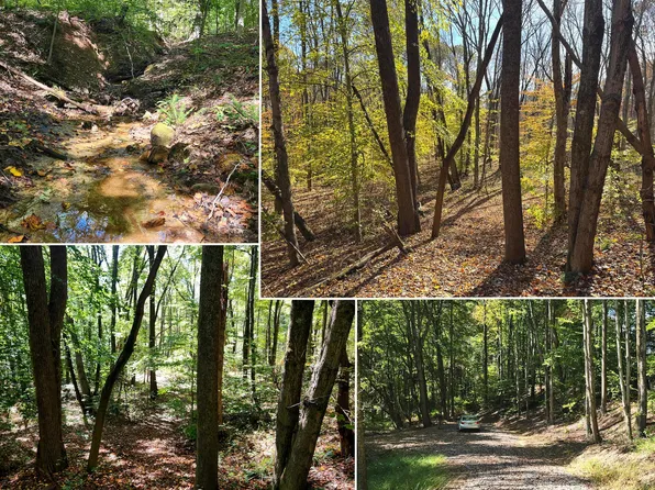 929 Poplar Ridge Rd, Gallipolis, OH 45631