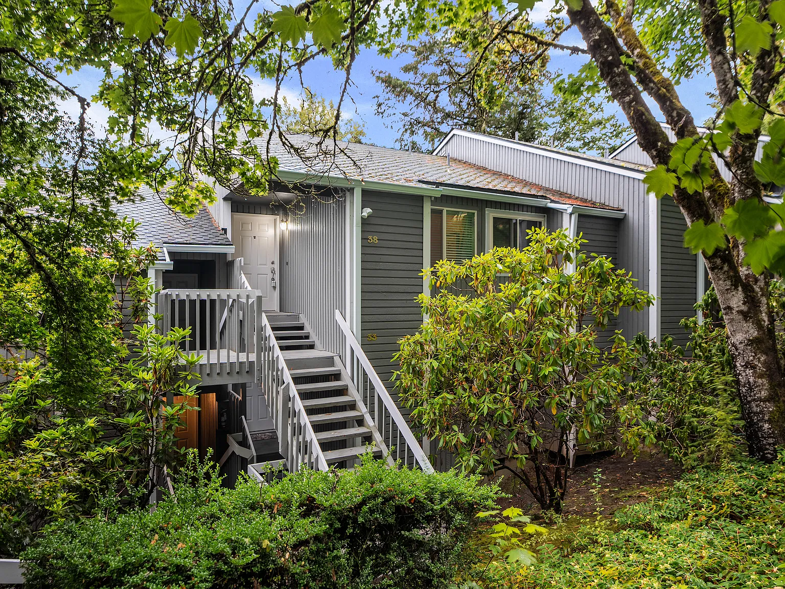 1 bed, 798 sqft, $1,800 — Photo 1