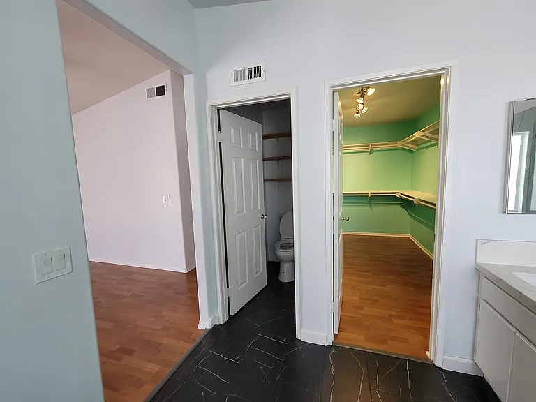 Master bathroom & closet