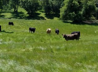 0 Cow Kick Rd #0, Angels Camp, CA 95222