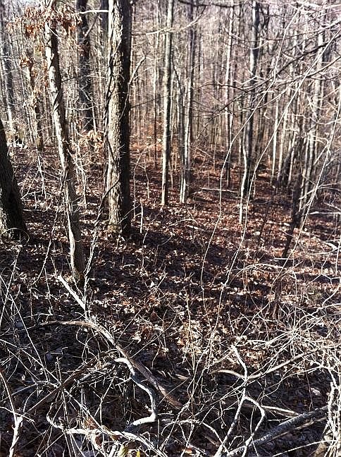 2nd image of 48 Summit Dr Lot 48