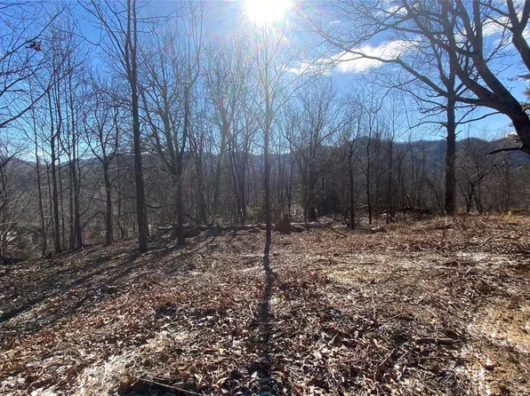 597 Old Toll Rd, Black Mountain, NC 28711