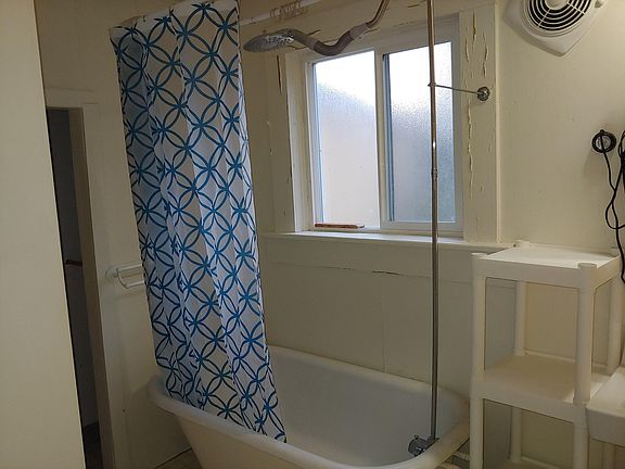 Clawfoot tub and shower.