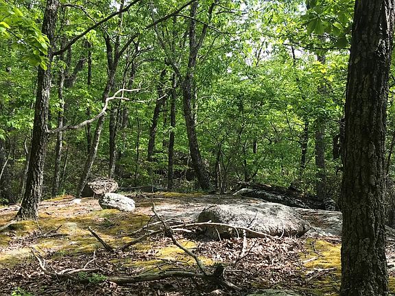 5th image of Suck Mountain Trl