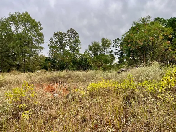 Pine Wilderness Dr, Queen City, TX 75572