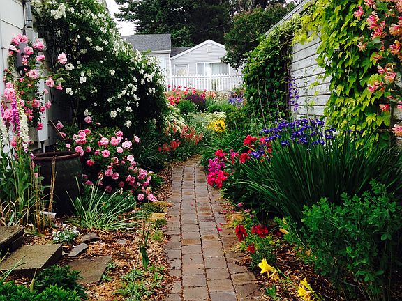 Between house and garage