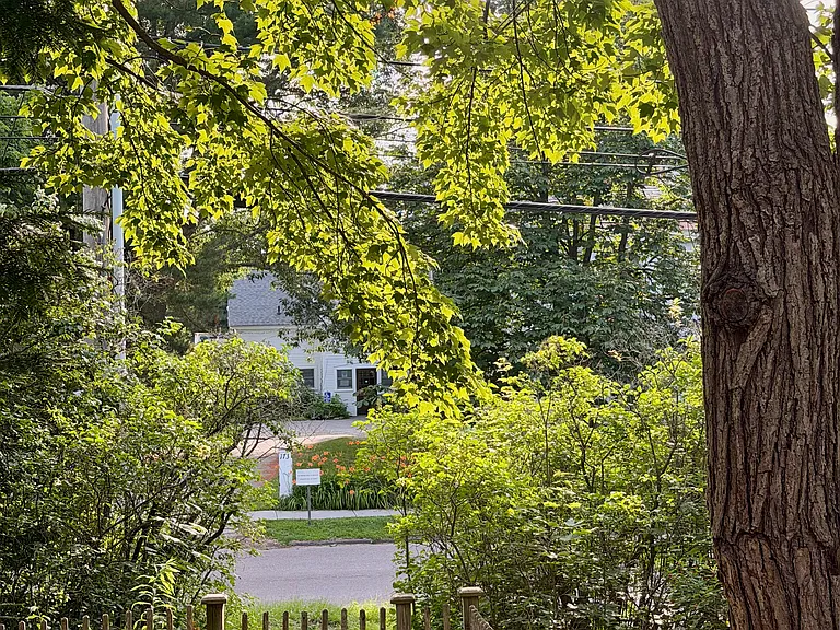View from front porch.