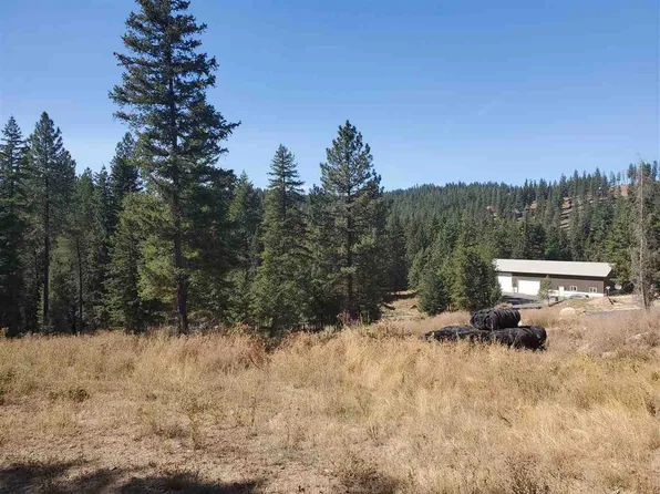 15209 E Bill Gulch Rd, Mead, WA 99021
