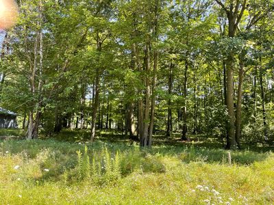 Questview Dr, Houghton Lake, MI, 48629